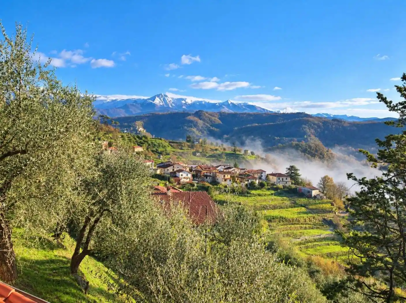 Villa in vendita a Fivizzano