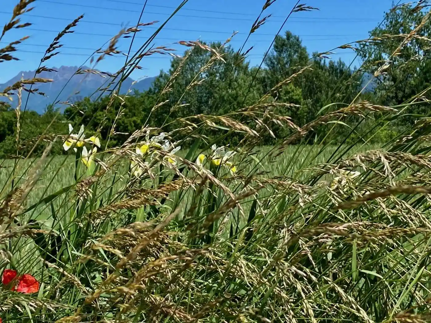 Attico - Mansarda in vendita a Giussano