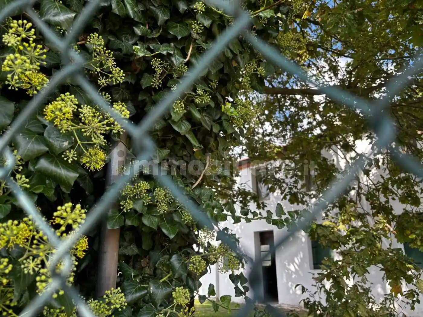 Rustico - Casale in vendita a Lendinara