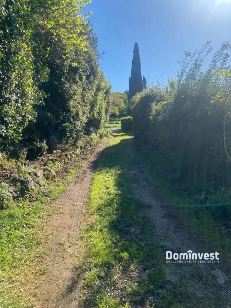 Villa in affitto a Orbetello