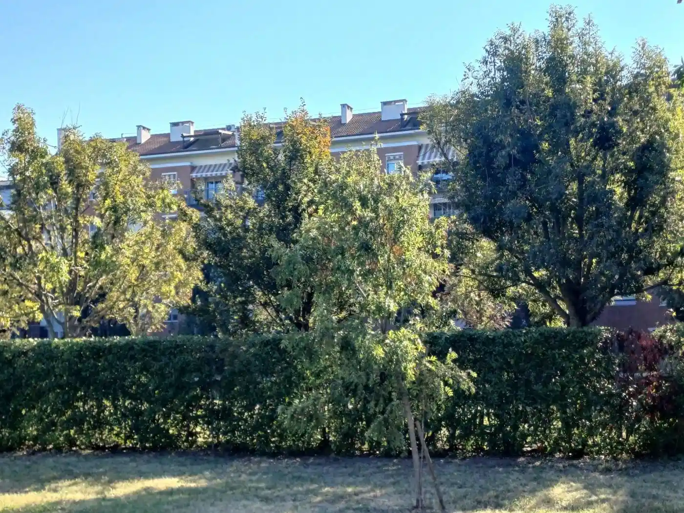 Appartamento in vendita a Bologna