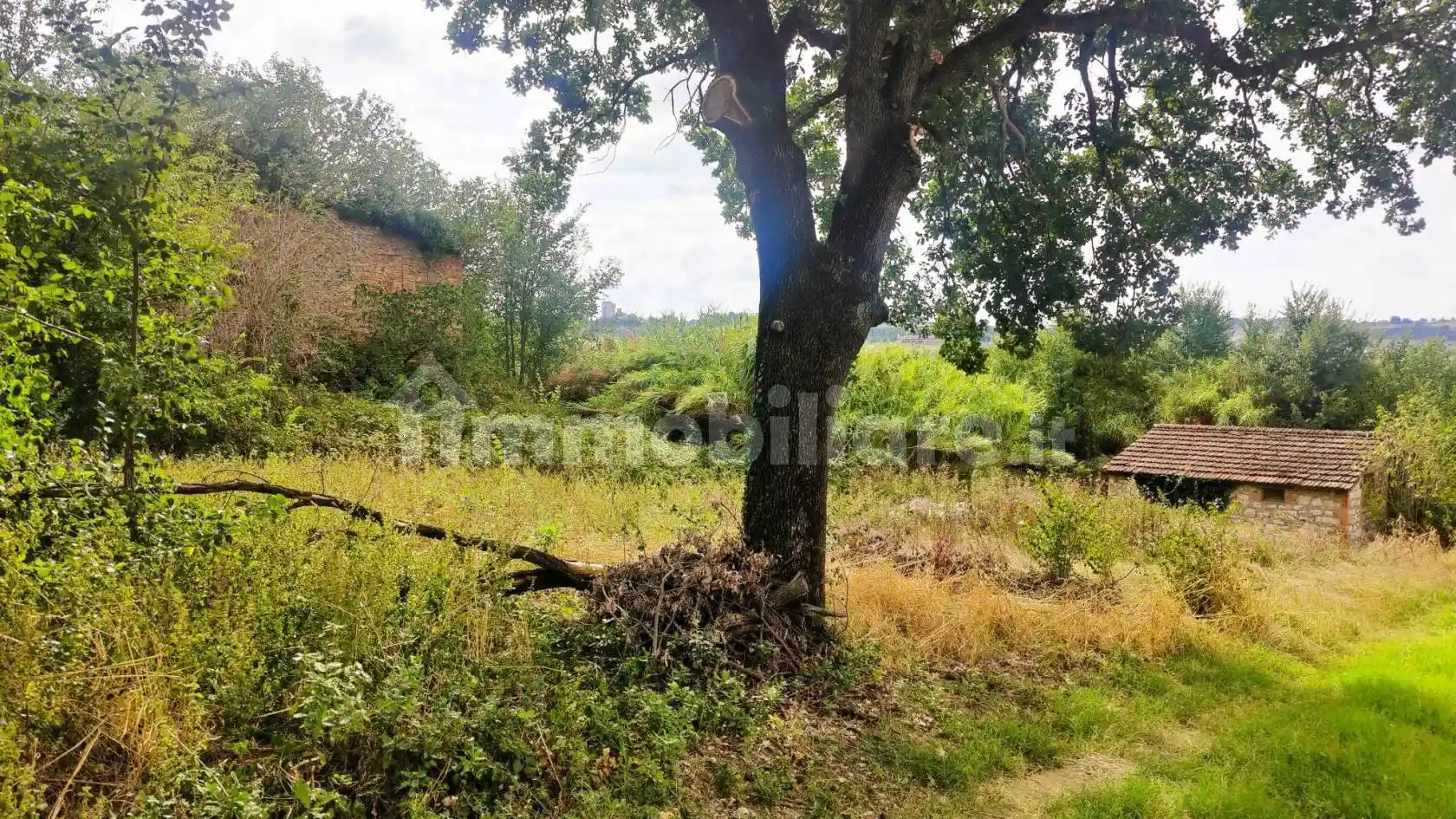 Rustico - Casale in vendita a Marsciano