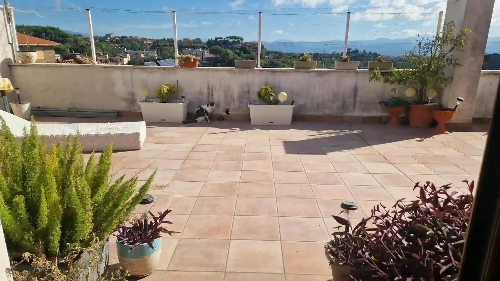Attico - Mansarda - foto 4