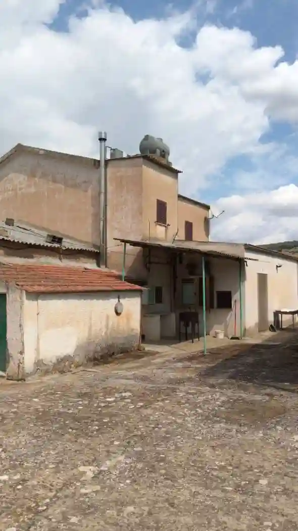 Palazzo - Edificio - foto 5