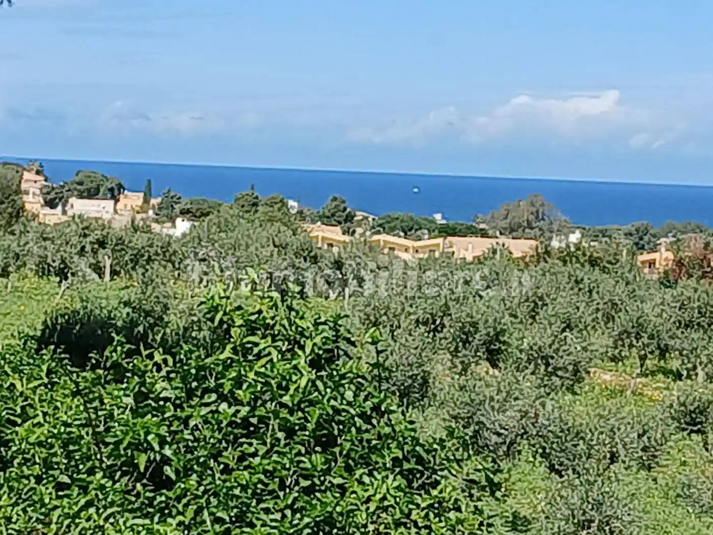 Appartamento in affitto a Valderice
