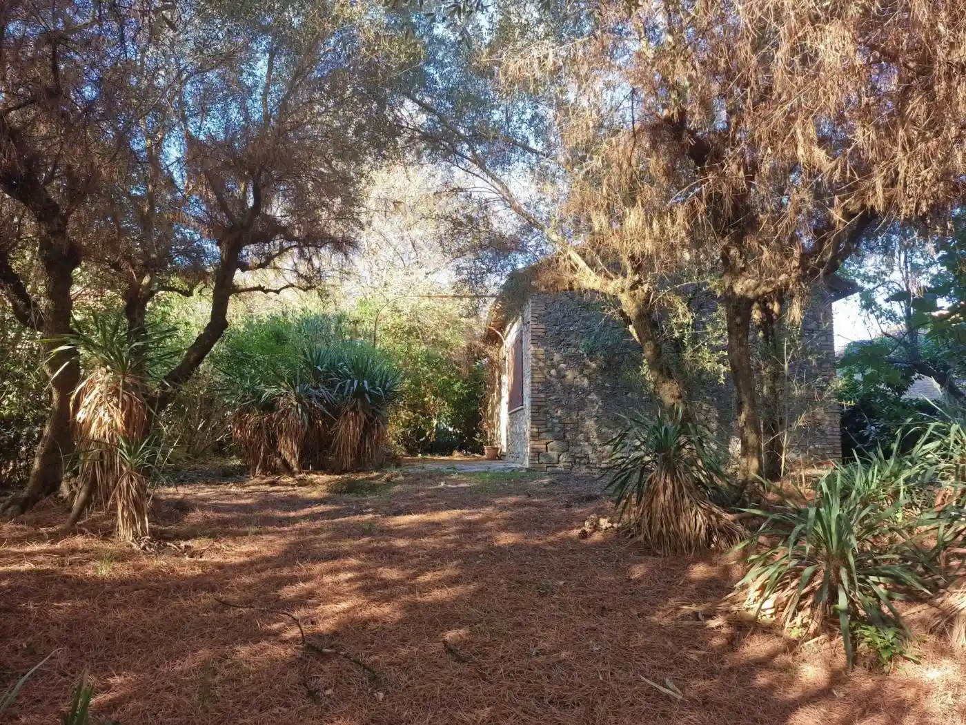 Villa in vendita a Narni