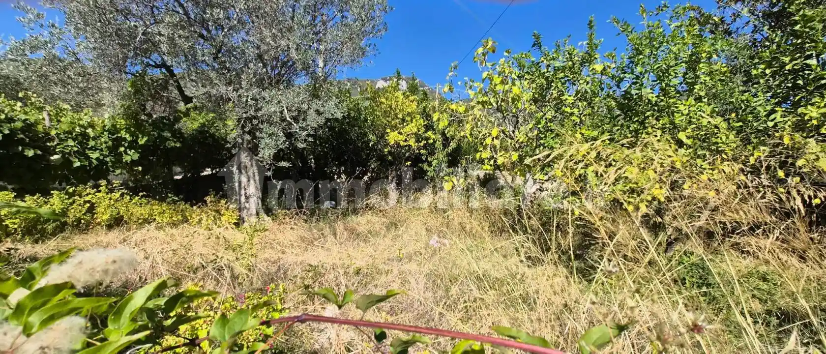 Villa in vendita a Campagna
