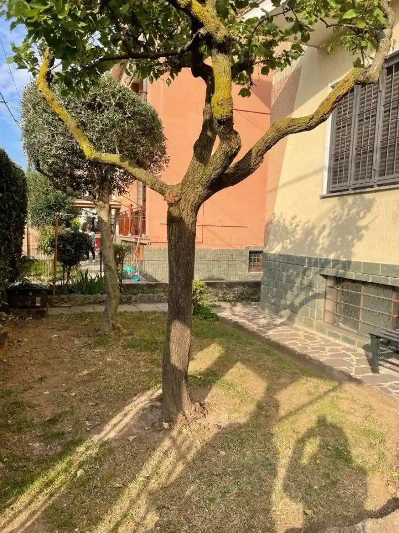 Appartamento in vendita a Senago
