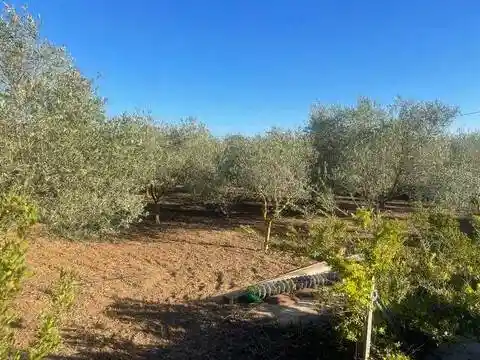 Villa in vendita a Sassari