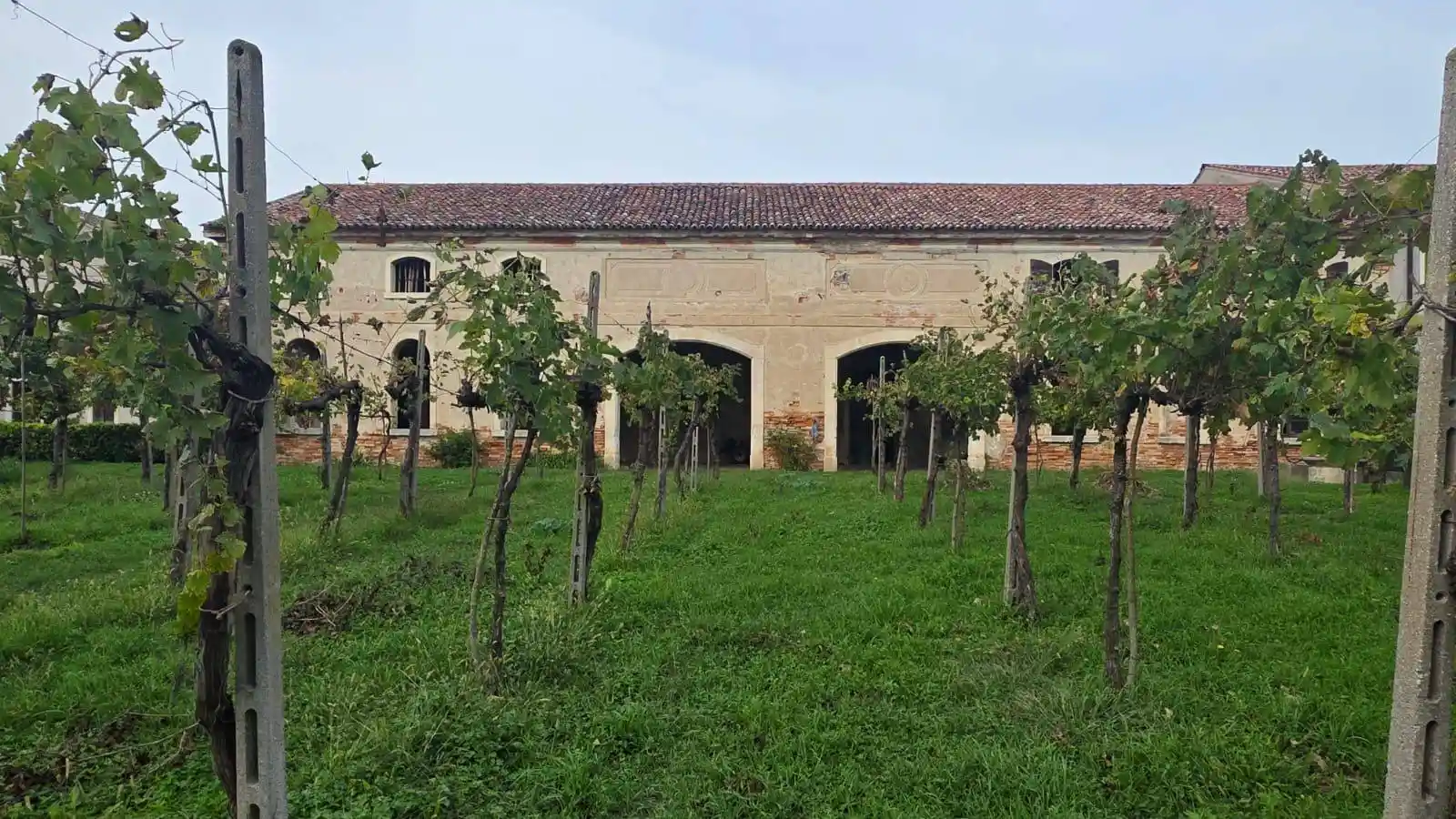Rustico - Casale in vendita a Veggiano