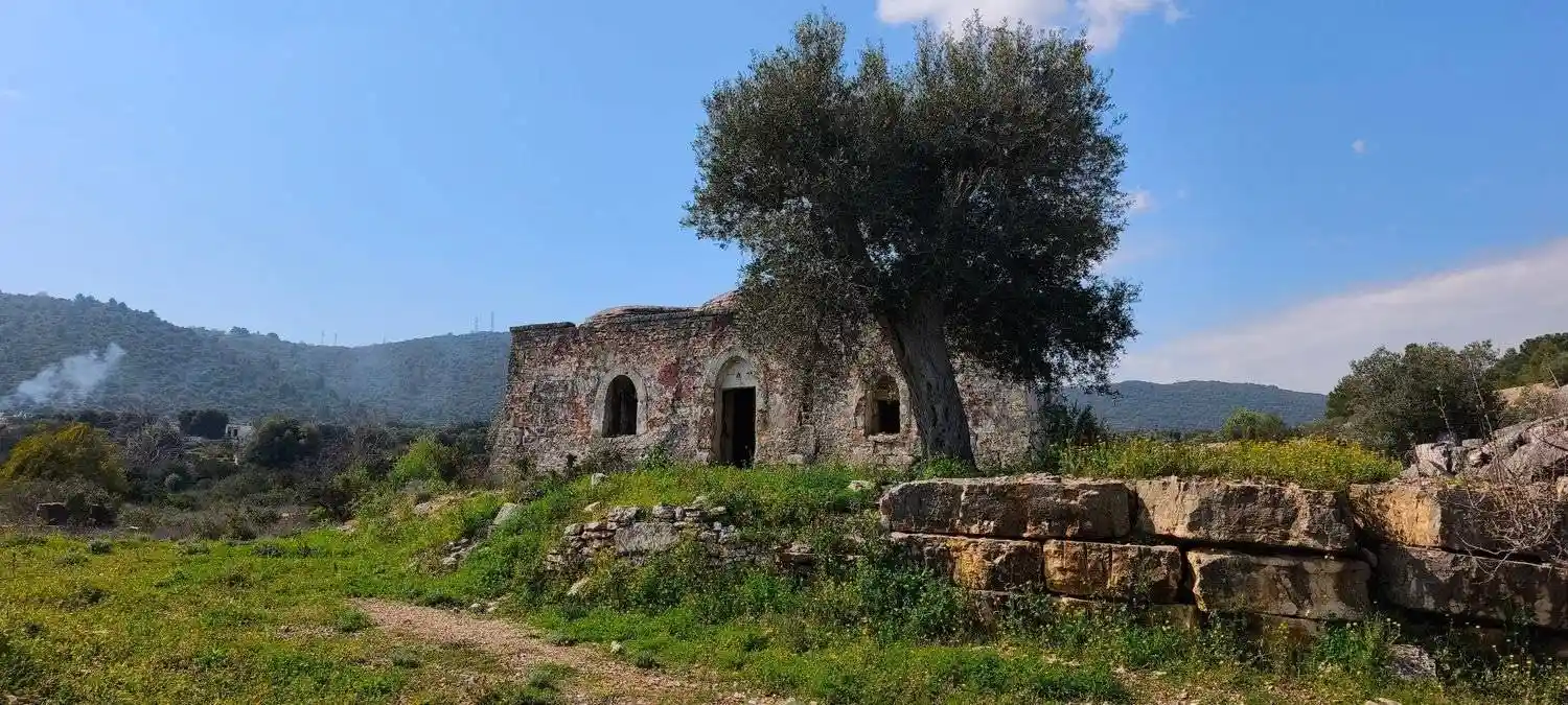Rustico - Casale in vendita a Fasano