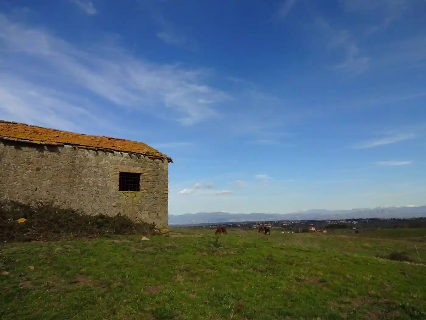 Rustico - Casale in vendita a Sacrofano