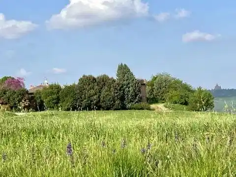 Rustico - Casale in affitto a Casalecchio di Reno