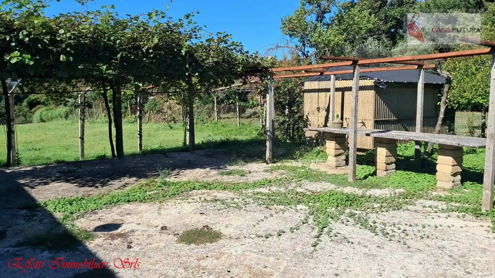 Rustico - Casale - foto 3