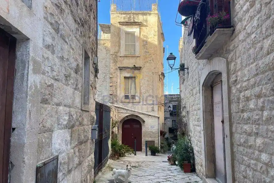 Palazzo - Edificio in vendita a Bisceglie