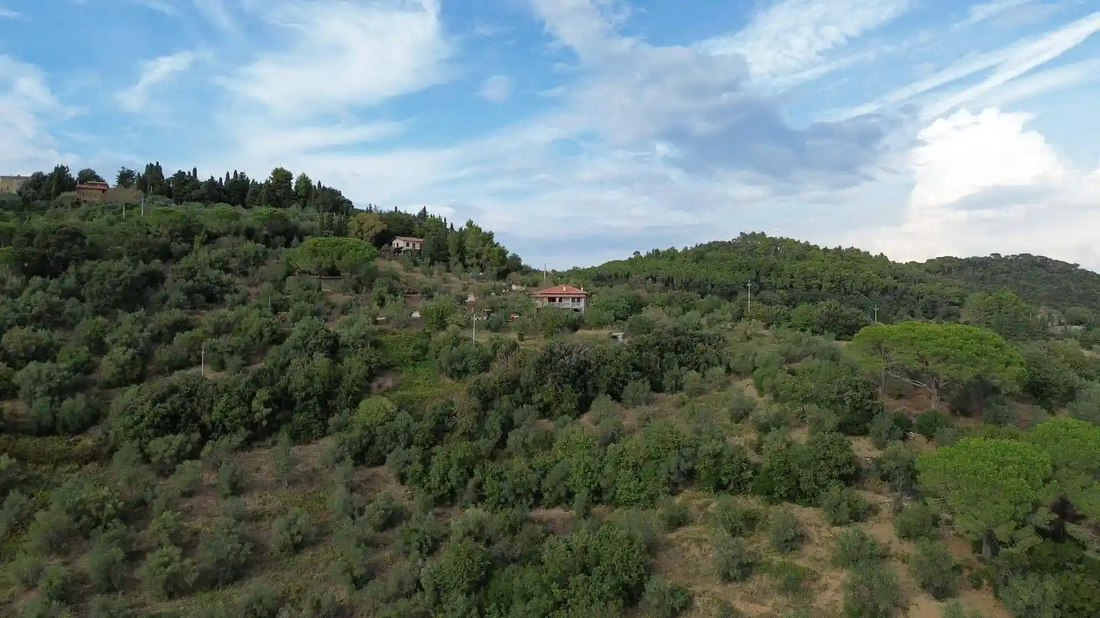 Rustico - Casale in vendita a Suvereto