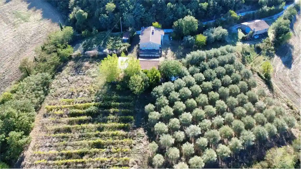Casa indipendente - foto 4