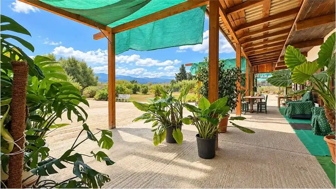 Villa in vendita a Quartucciu