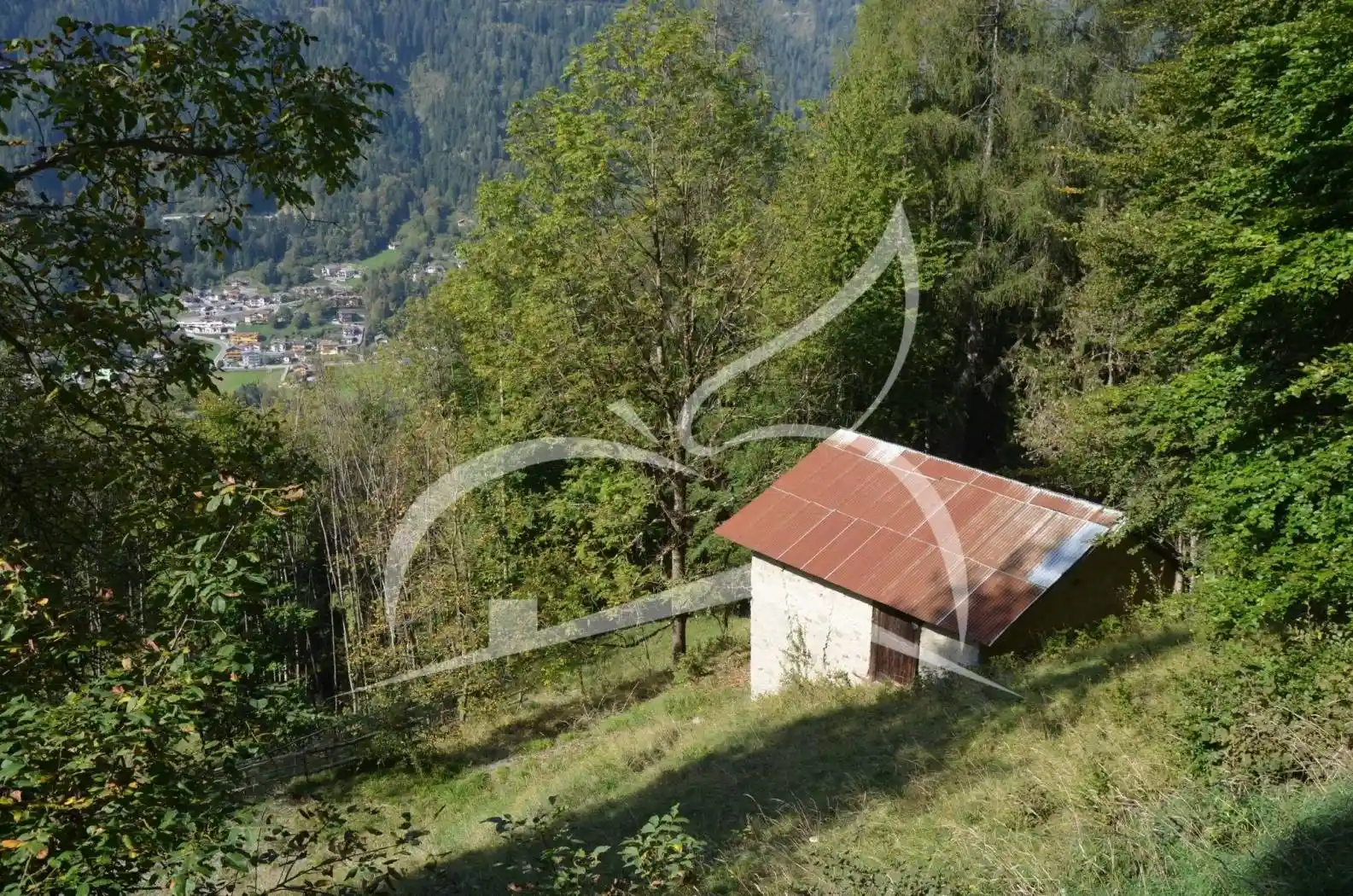 Rustico - Casale in vendita a Bocenago