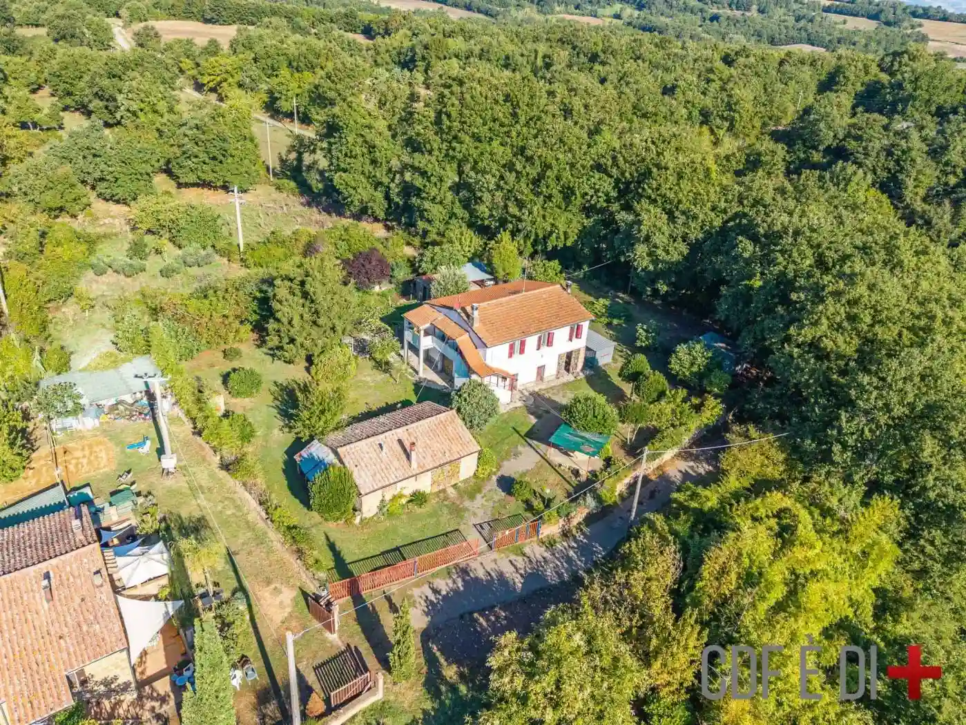 Rustico - Casale - foto 5