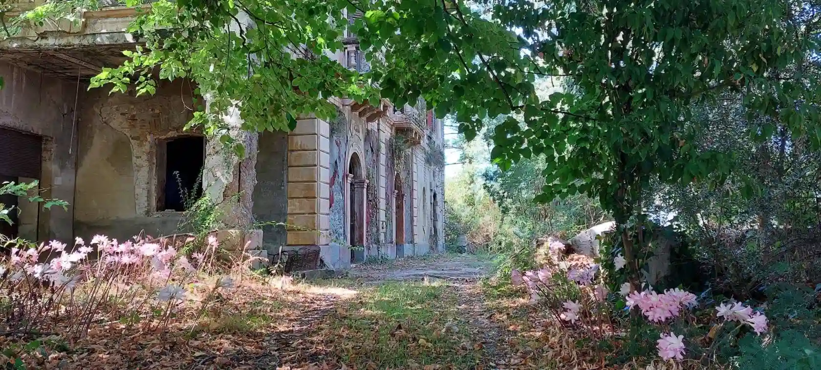 Palazzo - Edificio - foto 2