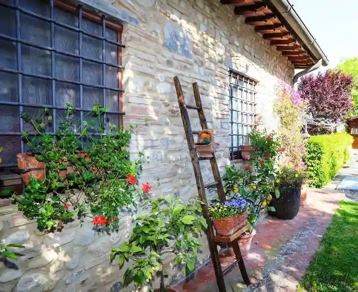 Rustico - Casale - foto 5