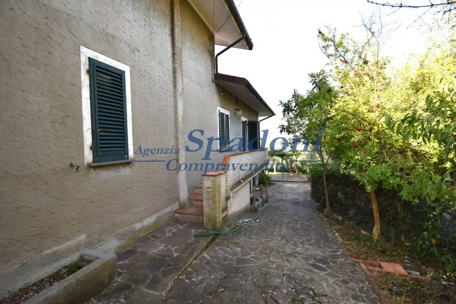 Villa - foto 5