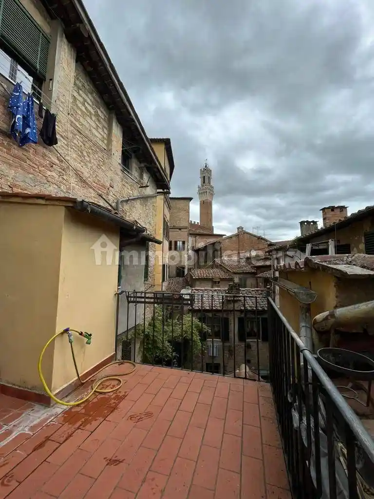 Appartamento in affitto a Siena