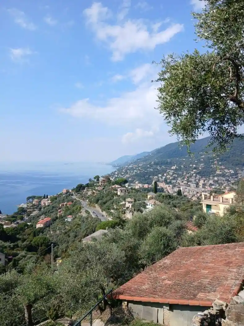 Appartamento in vendita a Camogli