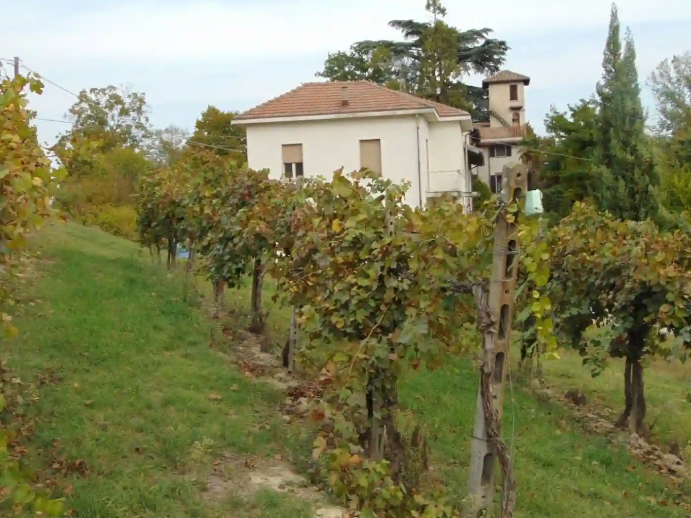 Rustico - Casale - foto 2