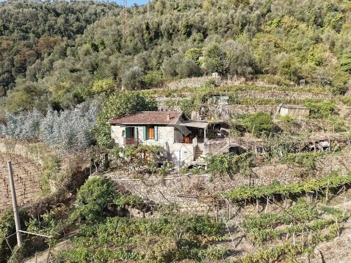 Casa indipendente in vendita a Badalucco