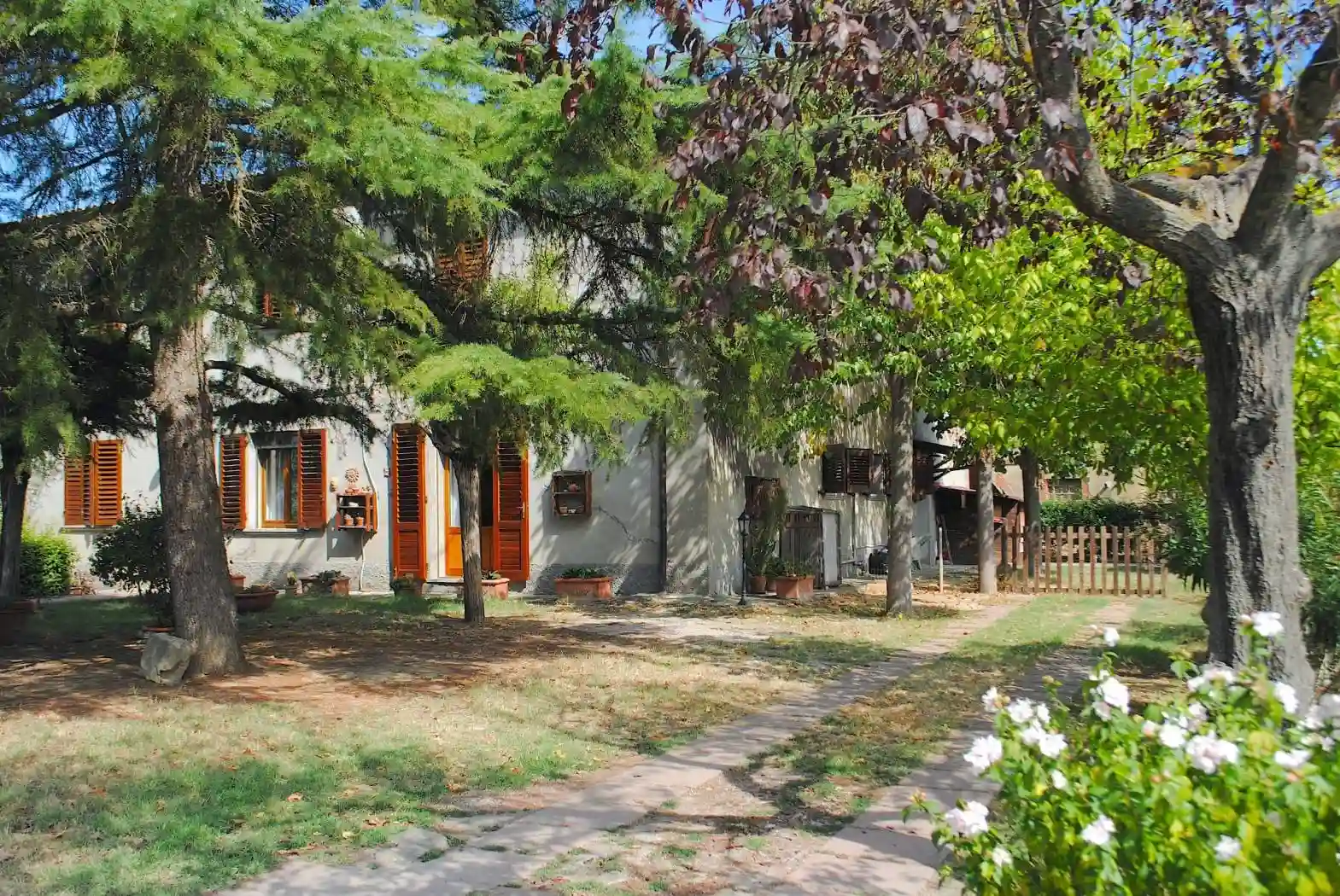 Rustico - Casale - foto 4