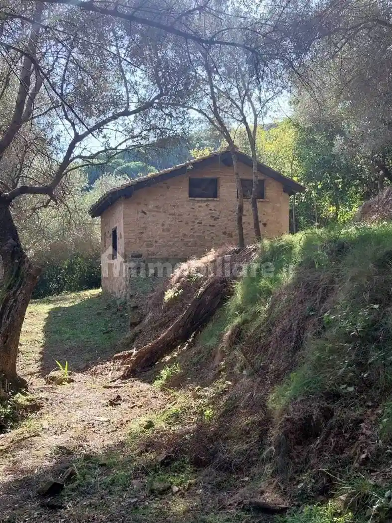 Rustico - Casale in vendita a Castagneto Carducci