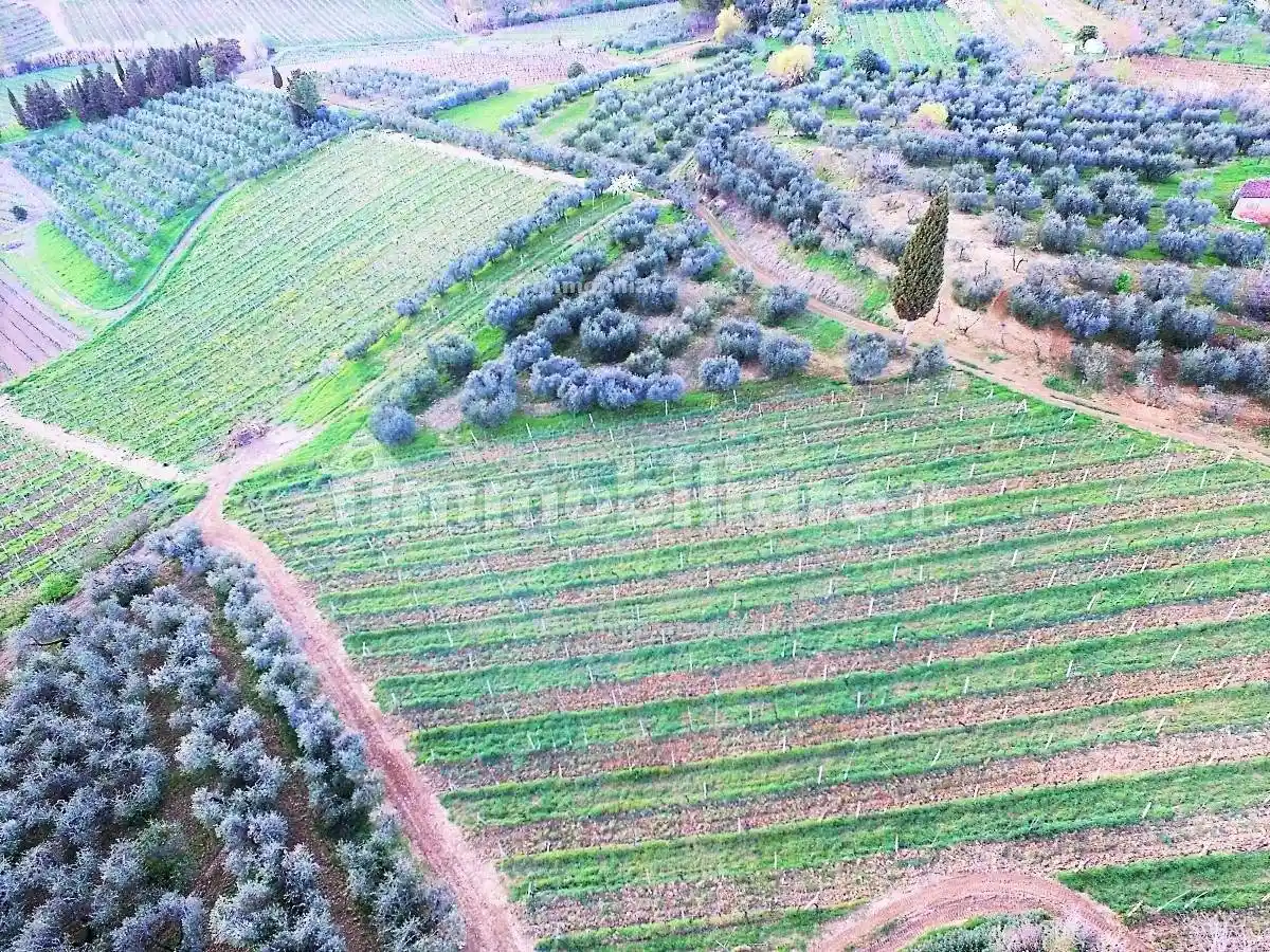 Rustico - Casale in vendita a Certaldo