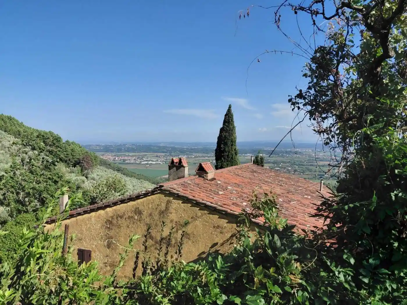 Rustico - Casale in vendita a Vicopisano