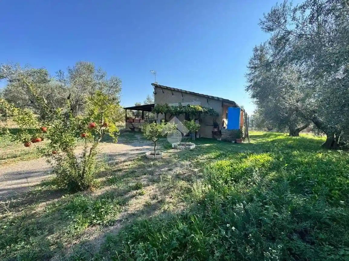 Rustico - Casale - foto 5