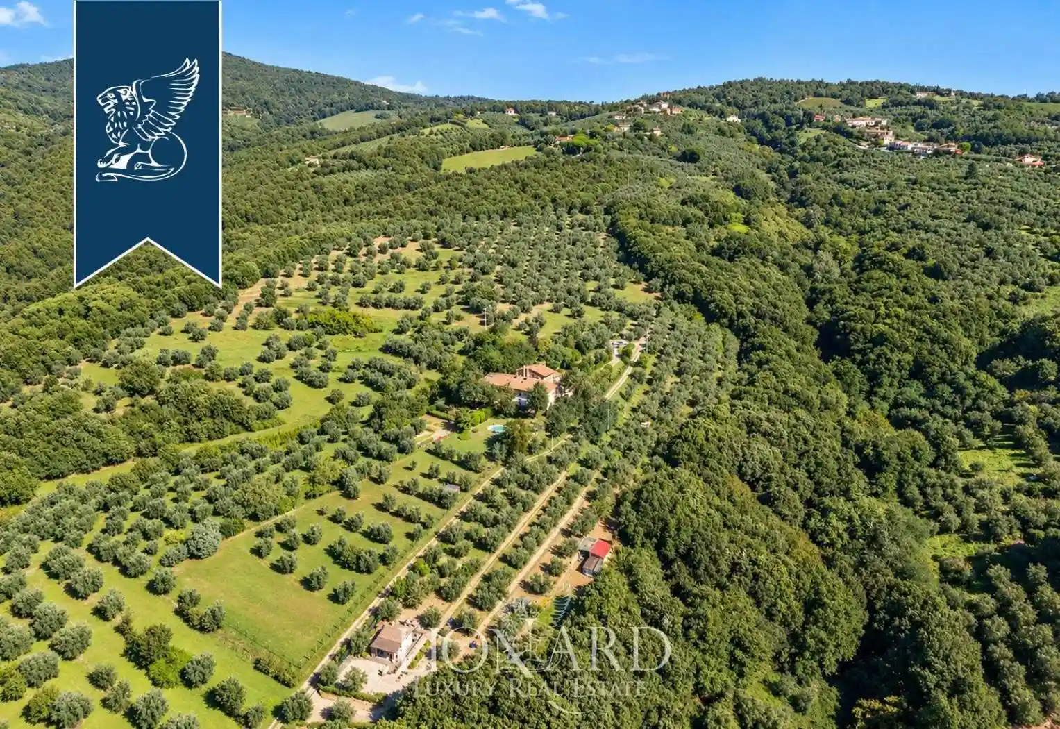 Villa in vendita a Capraia e Limite