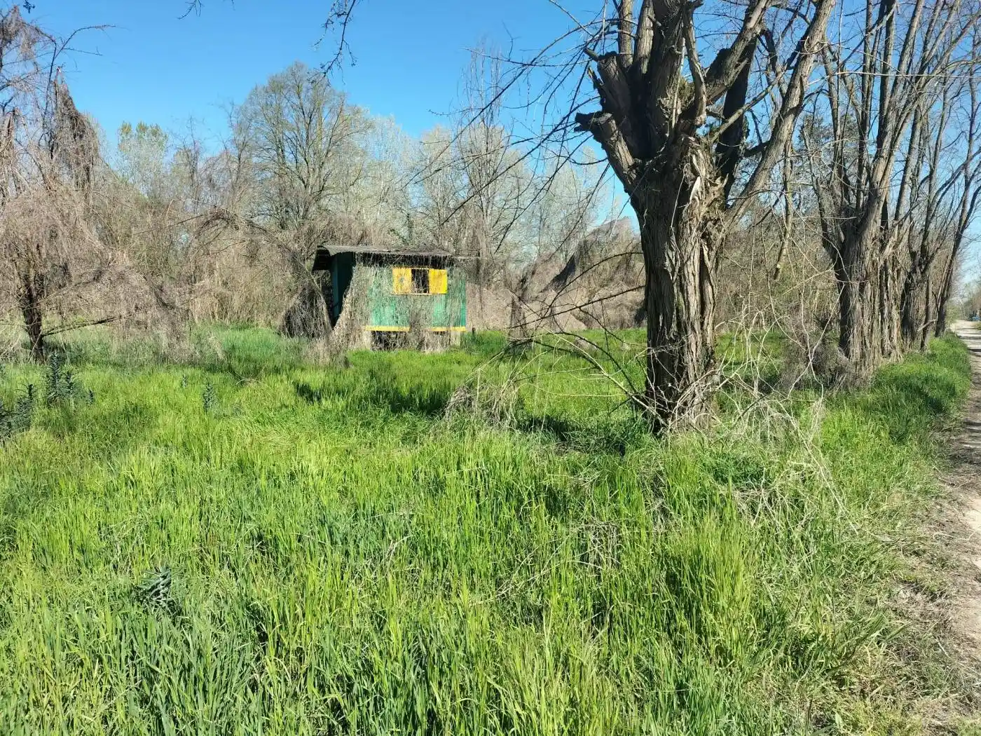 Rustico - Casale in vendita a Bassignana