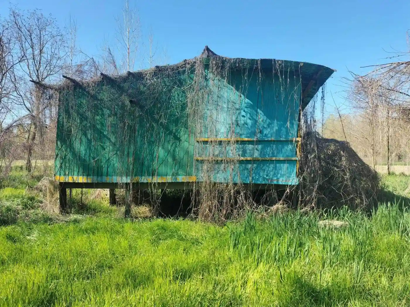 Rustico - Casale - foto 3