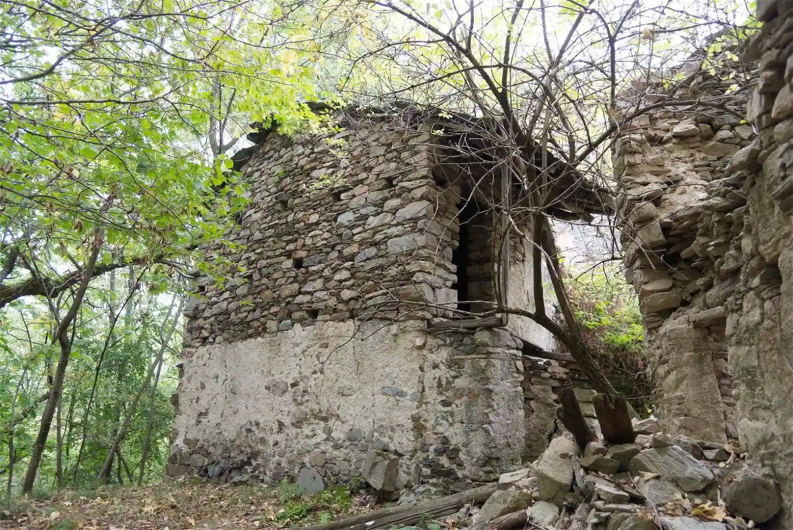 Rustico - Casale - foto 4