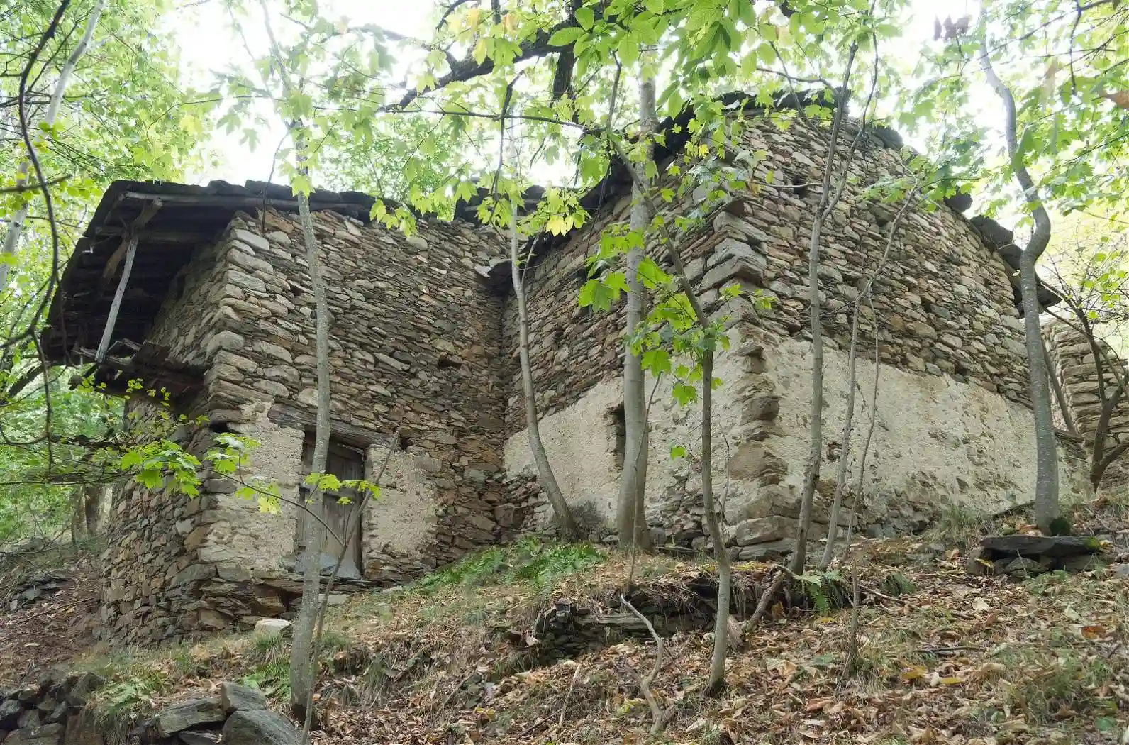 Rustico - Casale - foto 5