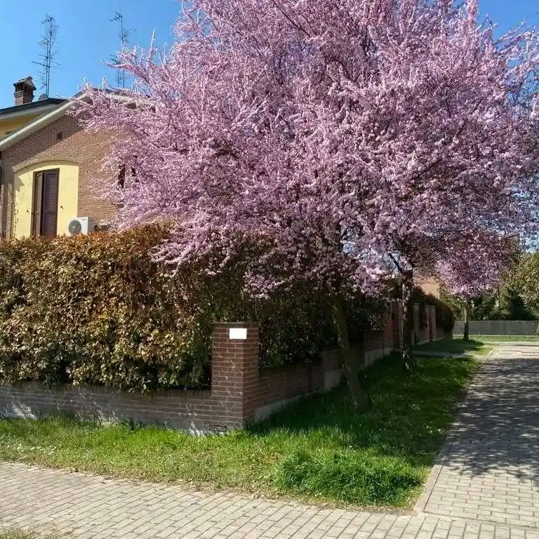 Villetta a schiera in vendita a Modena