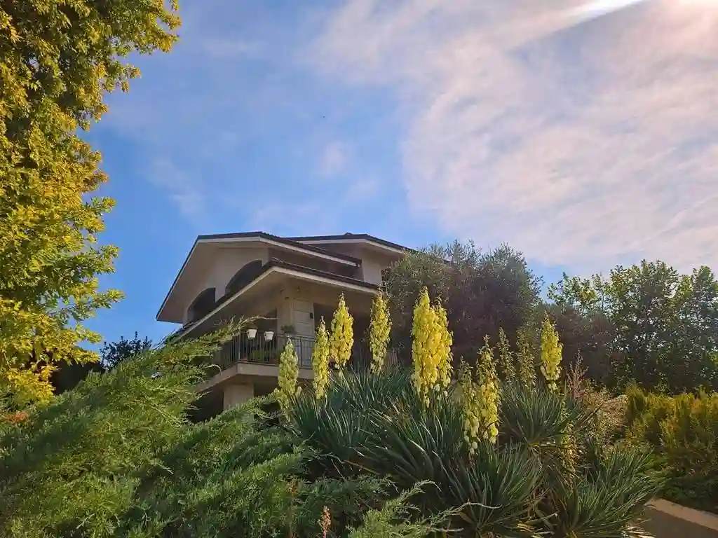 Villa - foto 3