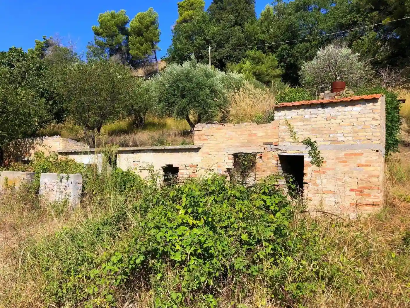 Rustico - Casale - foto 5