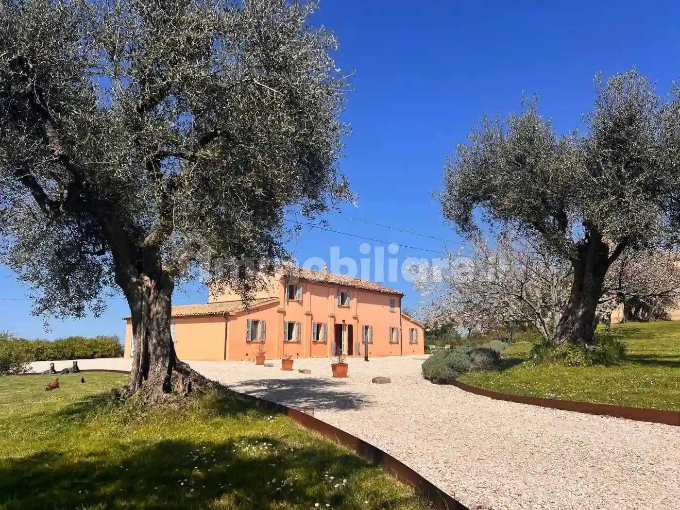 Rustico - Casale - foto 2