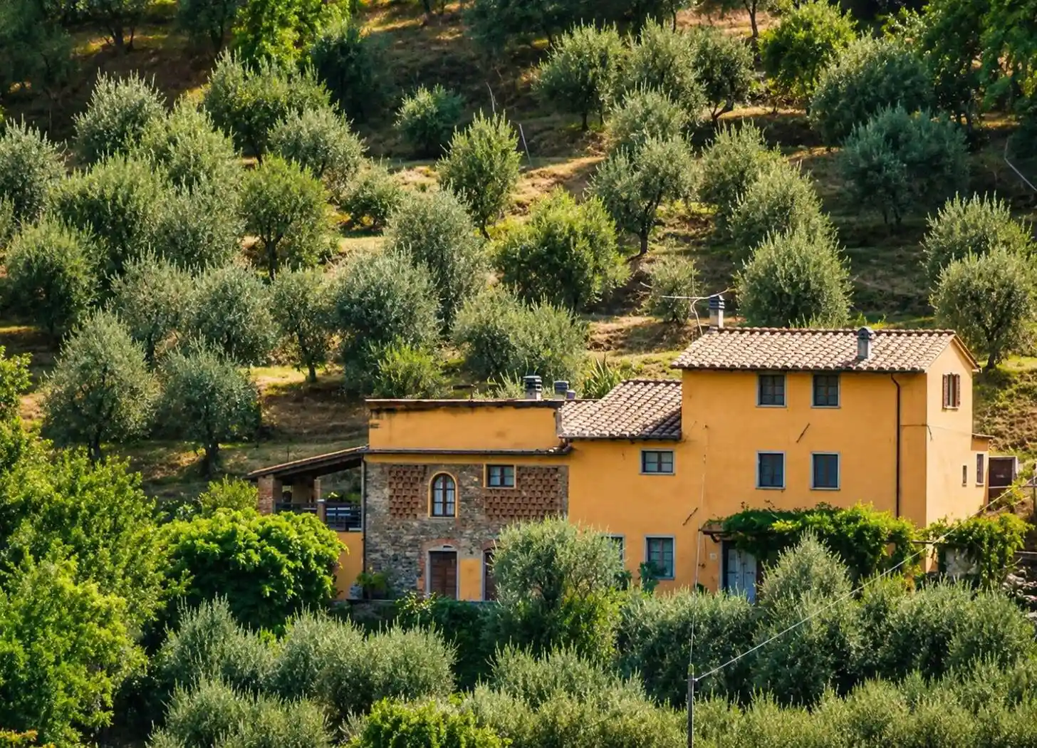 Rustico - Casale in vendita a Capannori