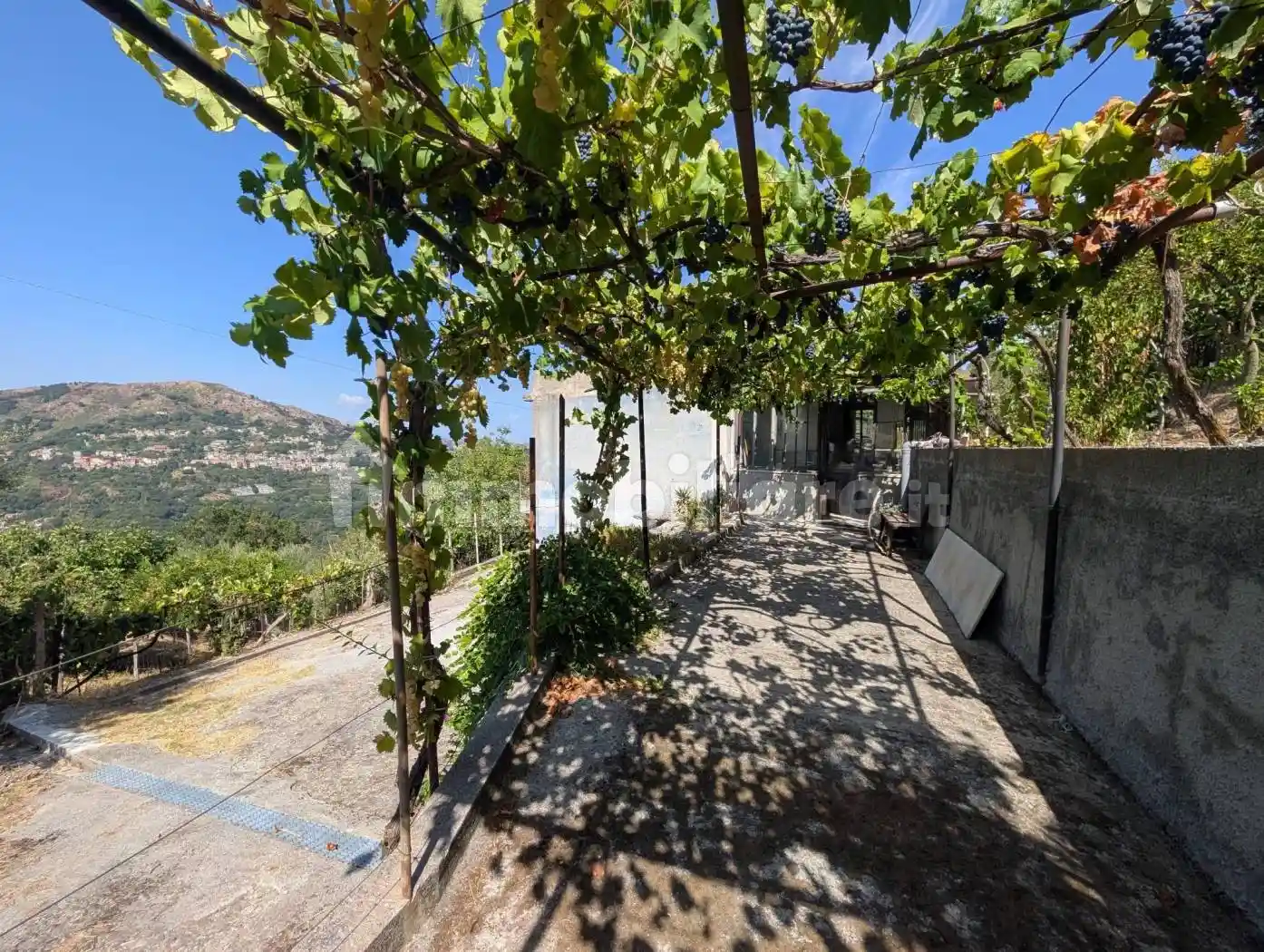 Casa indipendente in vendita a Novara di Sicilia
