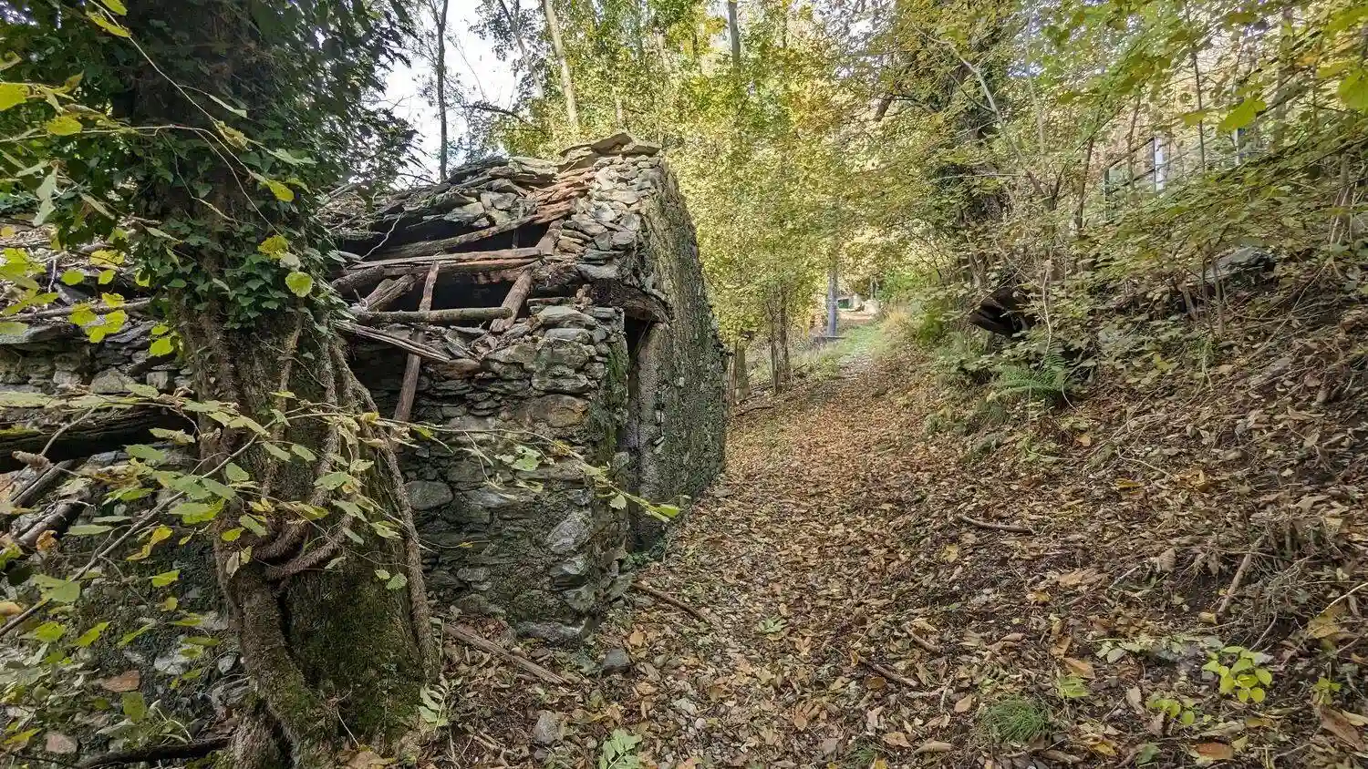Rustico - Casale - foto 4