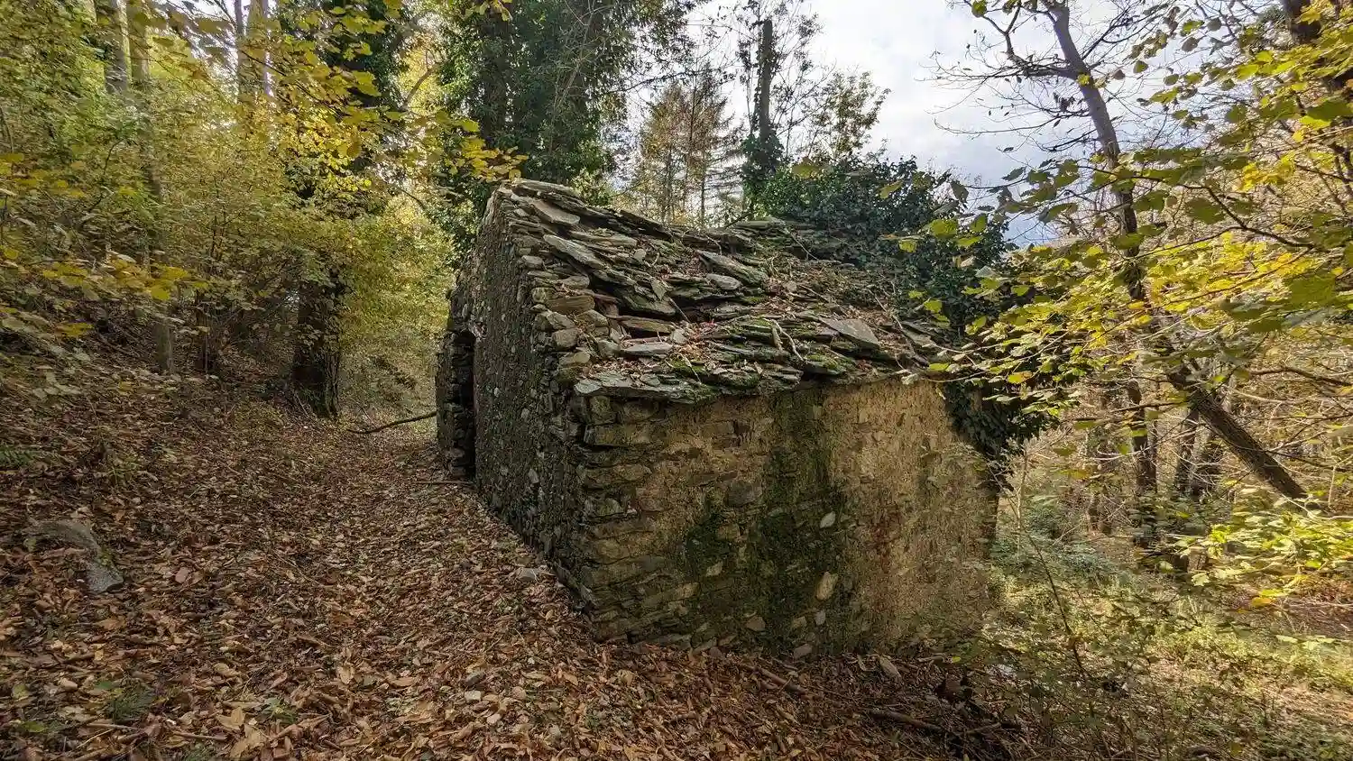 Rustico - Casale - foto 5