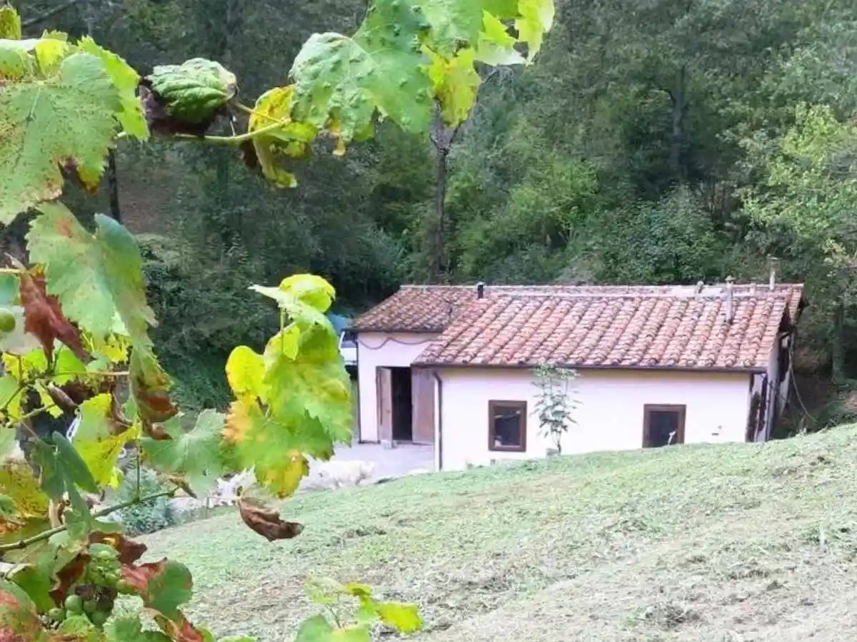 Rustico - Casale in vendita a Anghiari